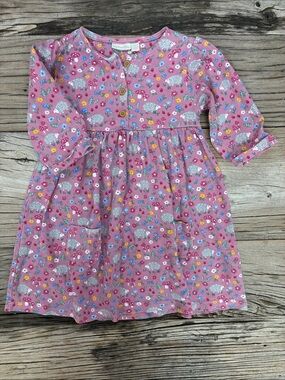 Jojo Maman Bebe Pink Floral Hedgehog Long-Sleeve Button‎ Front Dress Size 5 Yrs